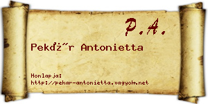 Pekár Antonietta névjegykártya